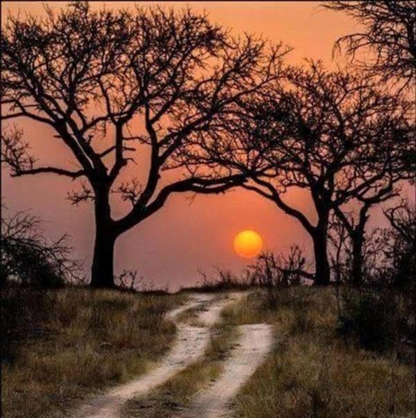 Weltevreden Game Alojamento de Turismo Selvagem Bloemfontein