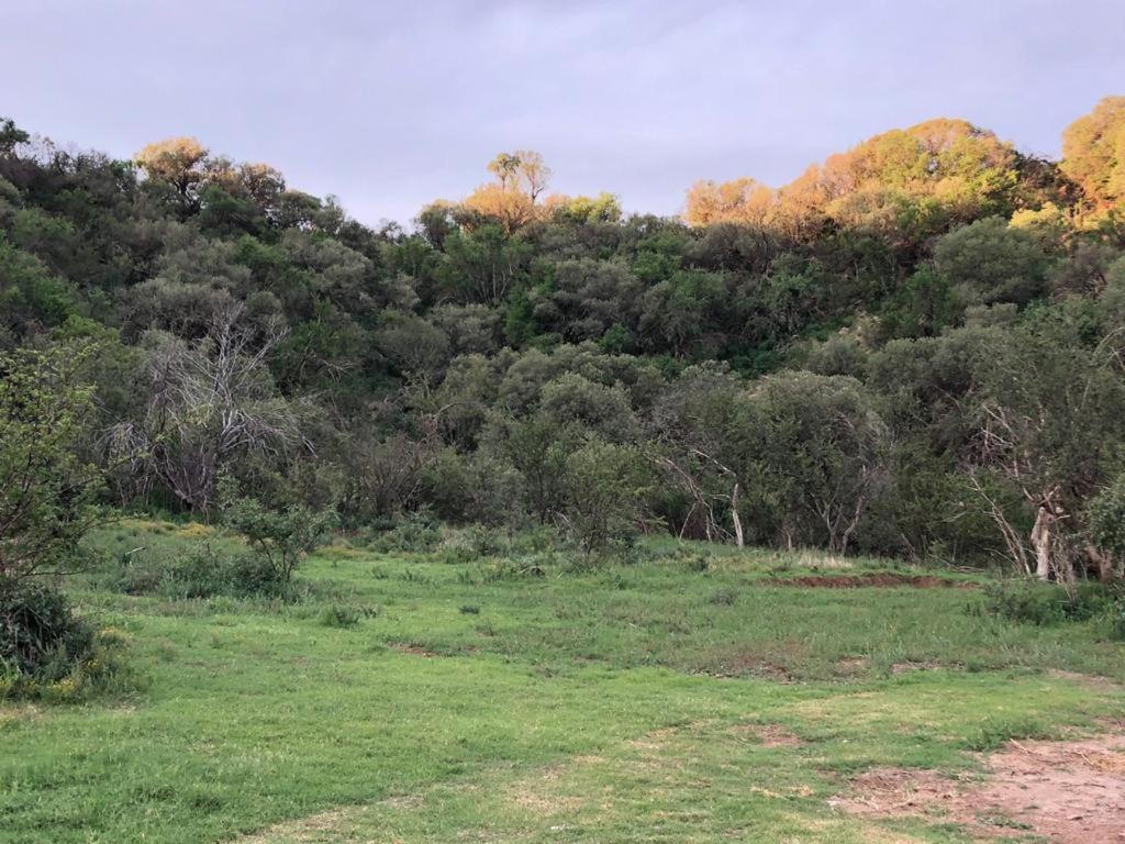 Alojamento de Turismo Selvagem Weltevreden Game